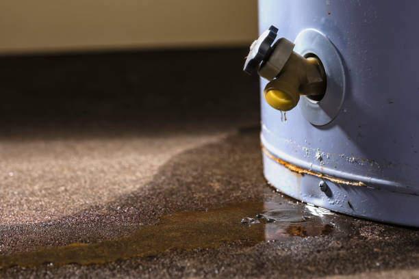 Best Flooded house restoration  in Mount Vernon, OH