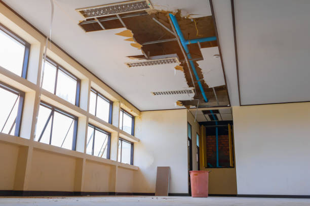 Best Flood restoration services  in Mount Vernon, OH