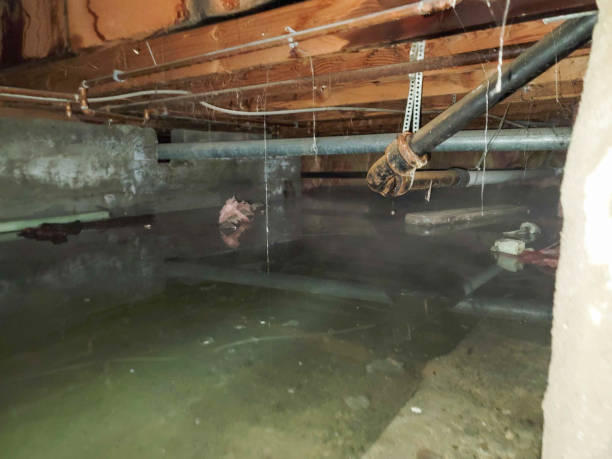 Best Local water damage restoration  in Mount Vernon, OH