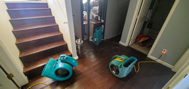 Best Professional water damage repair  in Mount Vernon, OH