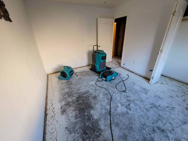 Best Carpet water damage restoration  in Mount Vernon, OH