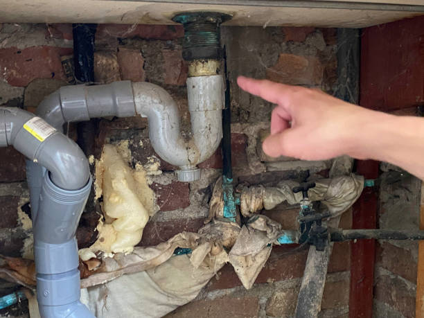 Best Water damage cleanup near me  in Mount Vernon, OH