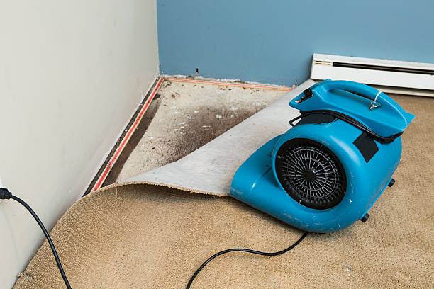 Best Sewage cleanup and water damage restoration  in Mount Vernon, OH