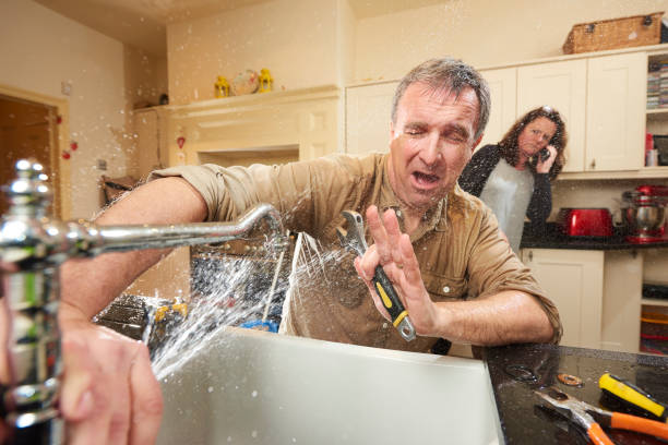 Best Mold removal after water damage  in Mount Vernon, OH
